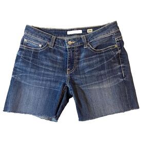 BKE Denim Payton Shorts Women Tag 29 Blue Jean Distressed Cut Offs  33 in Waist